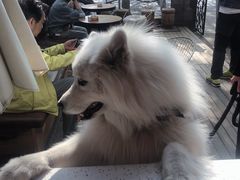 -叁秋咖啡 SANQIU COFFEE(天津河北路店)