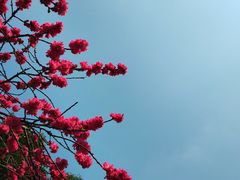-红星桥(地铁站)