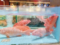 -阿伟海鲜楼·福建菜(延寿店)