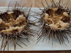 -海胆小馆(东北水饺·春柳店)