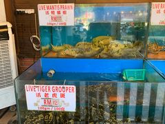 -真浪花园海鲜餐馆
