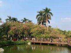 -海珠湖公园