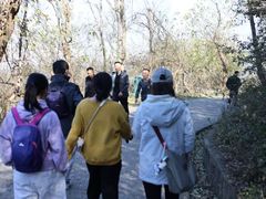 -紫金山山顶公园