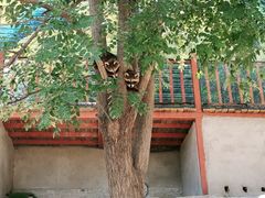 -北京鹿世界主题园