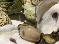 -南蚝小贝海鲜特色餐厅(南澳岛店)