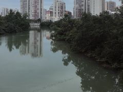 -金鸡岭桥头公园
