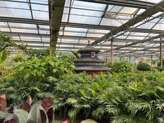 -南宫五洲植物乐园