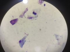 -佳雯宠物医院(金华南路分院)