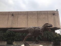 -自贡恐龙博物馆