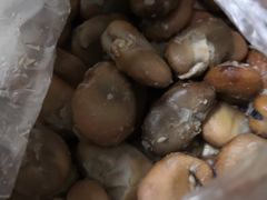 乌豆-洪湖里王姐大乌豆