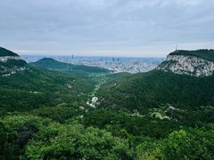 -佛慧山