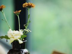 -北马山庄植趣咖啡