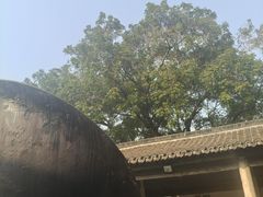 -乌镇东栅景区