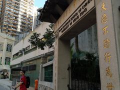 -香港大学