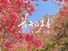 -洛龙公园