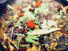 -老板恋上鱼(恒隆广场店)