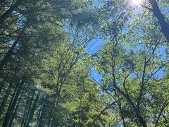 -驼梁风景区