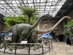 -国家自然博物馆