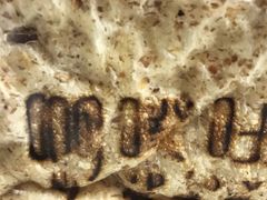 -啊噗吐呦现场烘焙(麦凯乐店)