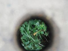 -上坦村
