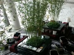 android_upload_pic-广州四季酒店