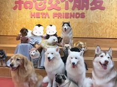 -和它·交个朋友·狗咖猫咖(爱琴海店)