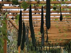 -中国天府农业博览园