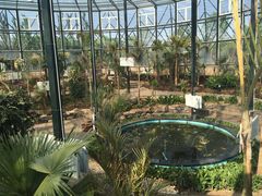 -武清南湖绿博园