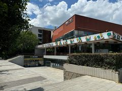 -辛香味烧鱼馆·非遗技艺·排骨红烧肉(光谷医药园店)