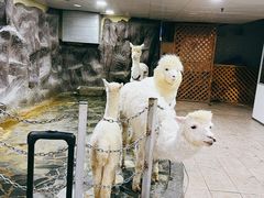 -上海大自然野生昆虫馆(东方明珠·爬宠昆虫探索中心)