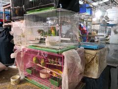 -万商花鸟市场