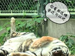 -上海野生动物园