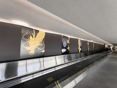 -中部国际机场