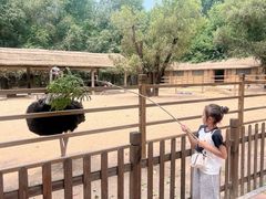 -秦皇岛野生动物园