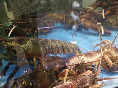 -上和臻品中国菜(花园街店)