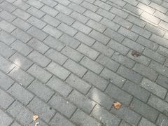 -青岛德国总督楼旧址博物馆