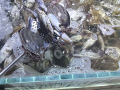 -聚盛源蒸汽海鲜火锅烤肉自助(巨川金海岸购物广场店)