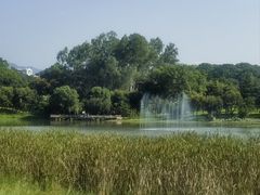 -福建鲤鱼洲酒店