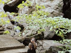 -藏龙百瀑风景区