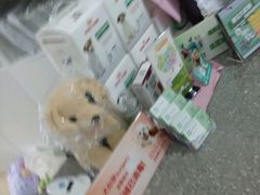 -爱侣宠医·鹦鹉专科·小型哺乳类·异宠专科(灵石路店)