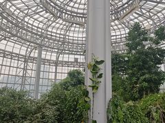 -郑州植物园