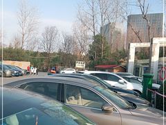 -大宁郁金香公园-停车场