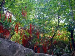 -云洞岩风景区
