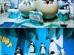 -海合安天津极地海洋公园