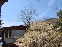 -崂山九水游览区