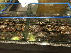 -Isla Sugbu Seafood City