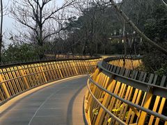 -福道