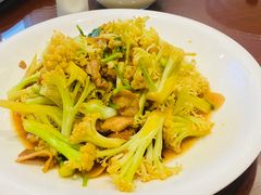 有机花菜-丽苑大酒店