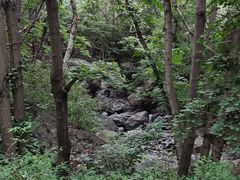 -云岫谷自然风景区