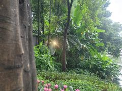-荔湾湖公园